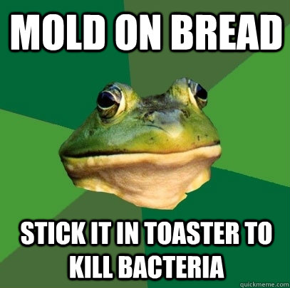 Mold on bread Stick it in toaster to kill bacteria  Foul Bachelor Frog