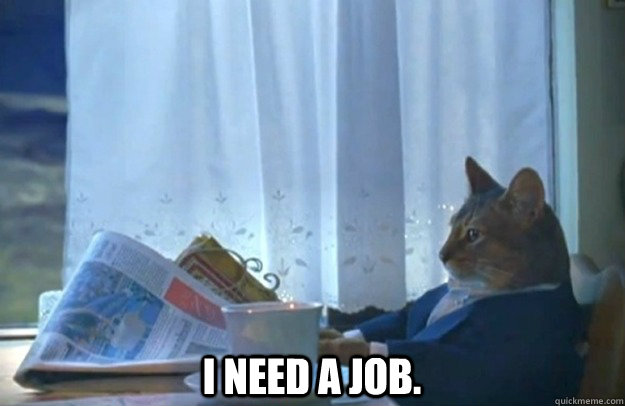  I need a job.  Sophisticated Cat