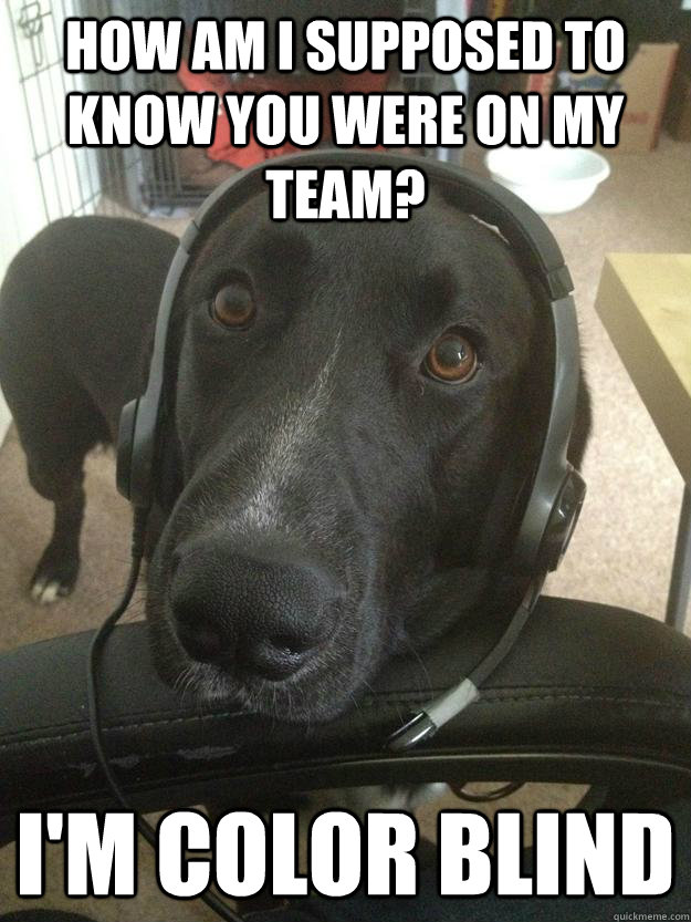 how am i supposed to know you were on my team? i'm color blind  Gamer Dog