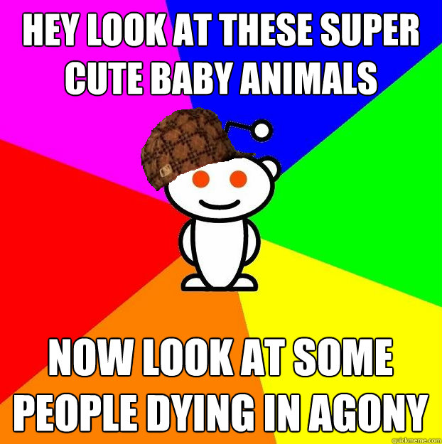 hey look at these super cute baby animals now look at some people dying in agony  Scumbag Redditor