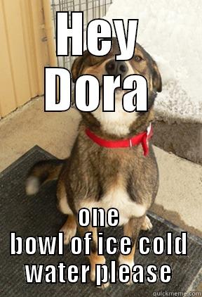 HEY DORA ONE BOWL OF ICE COLD WATER PLEASE Good Dog Greg