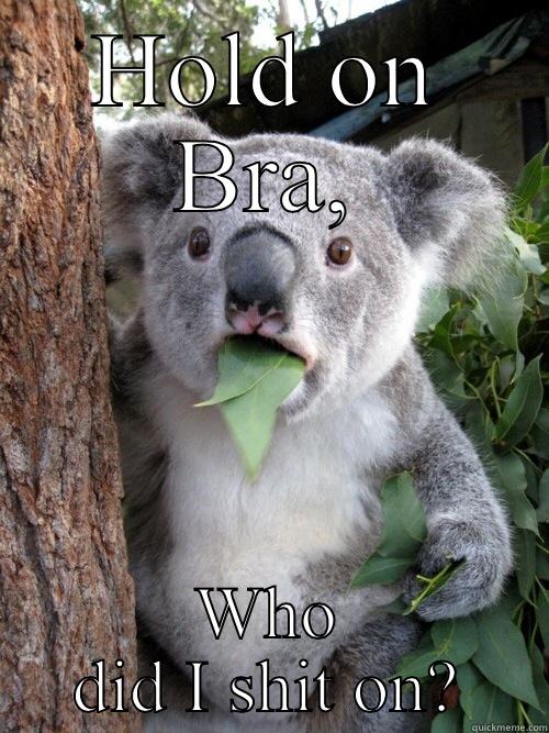 HOLD ON BRA, WHO DID I SHIT ON? koala bear