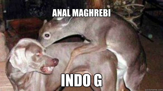 Anal maghrebi Indo G  