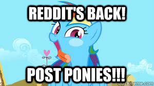 Reddit's back!  Post Ponies!!! - Reddit's back!  Post Ponies!!!  Rainbowdash