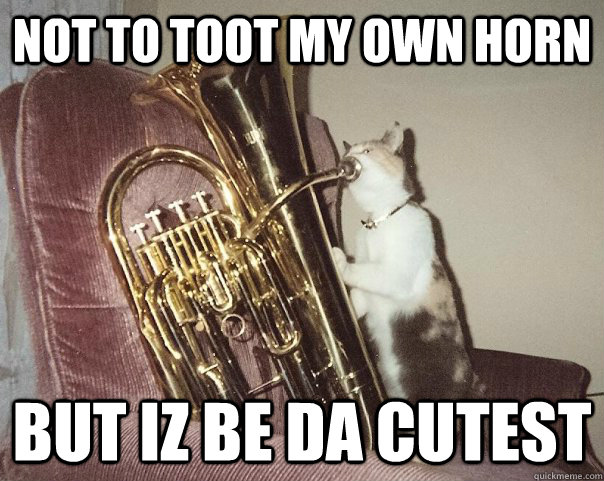 Not to toot my own horn But iz be da cutest  Baritone Cat