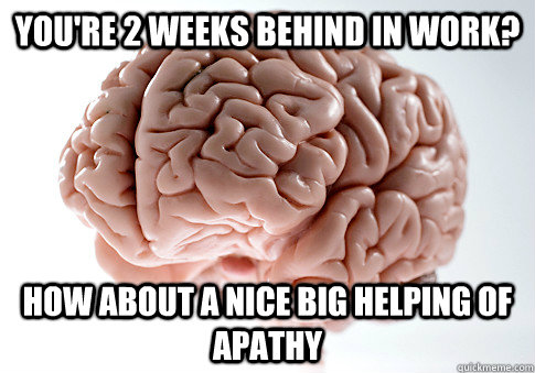 You're 2 weeks behind in work? How about a nice big helping of apathy   Scumbag Brain
