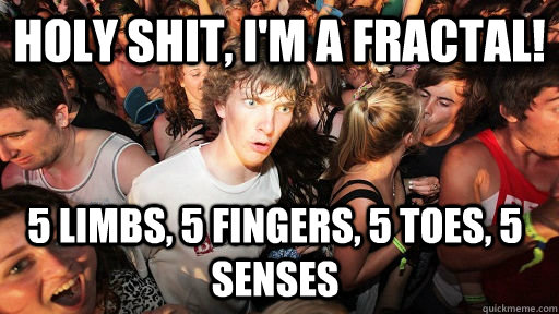 Holy Shit, I'm a Fractal! 5 limbs, 5 fingers, 5 toes, 5 senses  Sudden Clarity Clarence