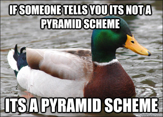 If someone tells you its not a pyramid scheme its a pyramid scheme  - If someone tells you its not a pyramid scheme its a pyramid scheme   Actual Advice Mallard