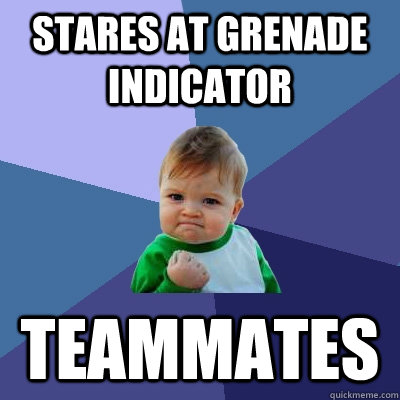 Stares at grenade indicator Teammates  Success Kid