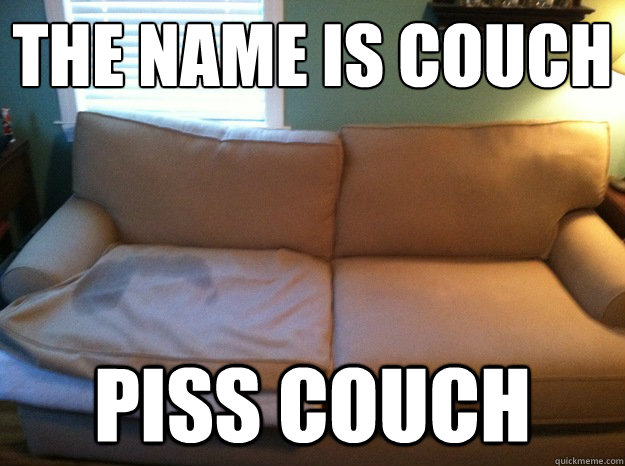 the name is couch
 piss couch  
