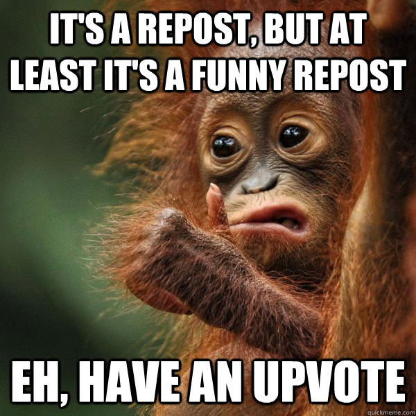 It's a repost, but at least it's a funny repost Eh, have an upvote - It's a repost, but at least it's a funny repost Eh, have an upvote  Approving Orangutan