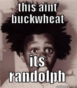 oh my - THIS AINT BUCKWHEAT ITS RANDOLPH Misc