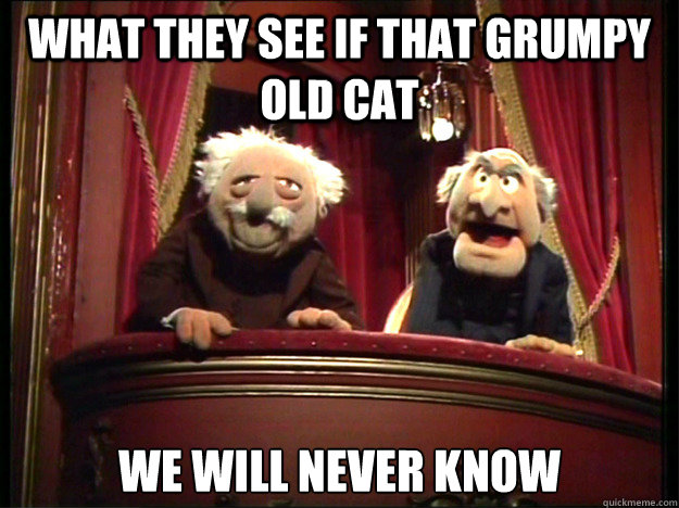 What they see if that grumpy old cat  we will never know  Muppets Old men