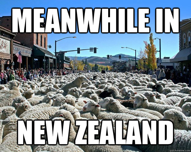 Meanwhile in New Zealand - Meanwhile in New Zealand  Misc