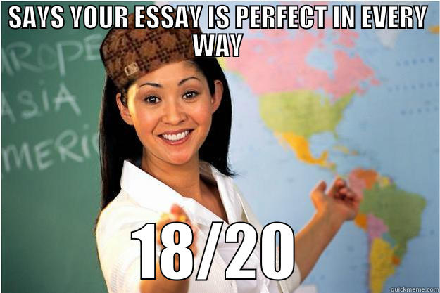 SAYS YOUR ESSAY IS PERFECT IN EVERY WAY 18/20 Scumbag Teacher