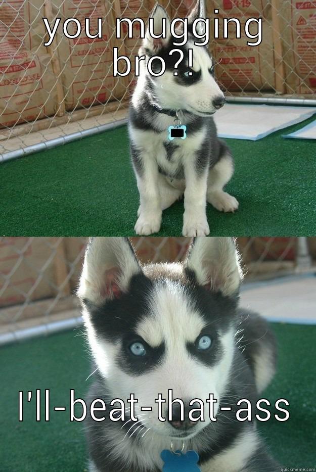 YOU MUGGING BRO?! I'LL-BEAT-THAT-ASS Insanity puppy