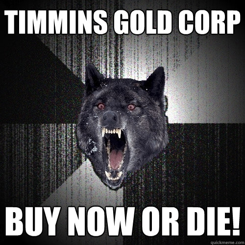 TIMMINs gold CORP buy now or die!  Insanity Wolf