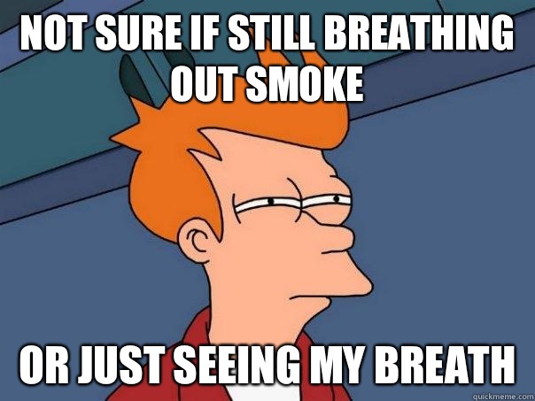 Not sure if still breathing out smoke Or just seeing my breath  Futurama Fry