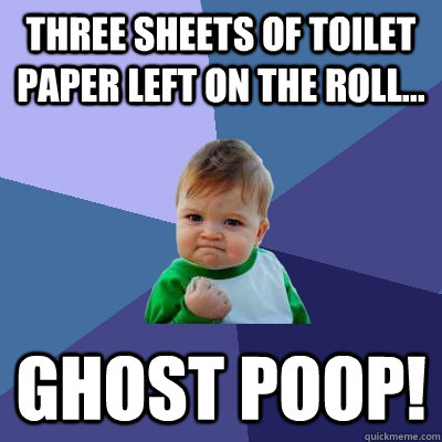 Three sheets of toilet paper left on the roll... Ghost poop!  Success Kid