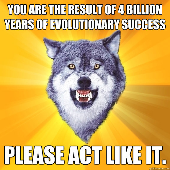 you are the result of 4 billion years of evolutionary success Please act like it.  Courage Wolf