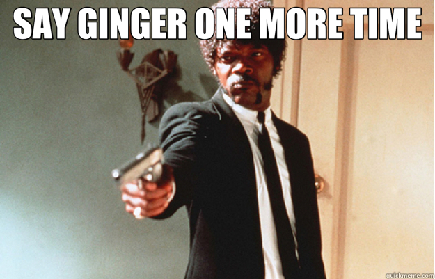 SAY GINGER ONE MORE TIME   Say What One more time