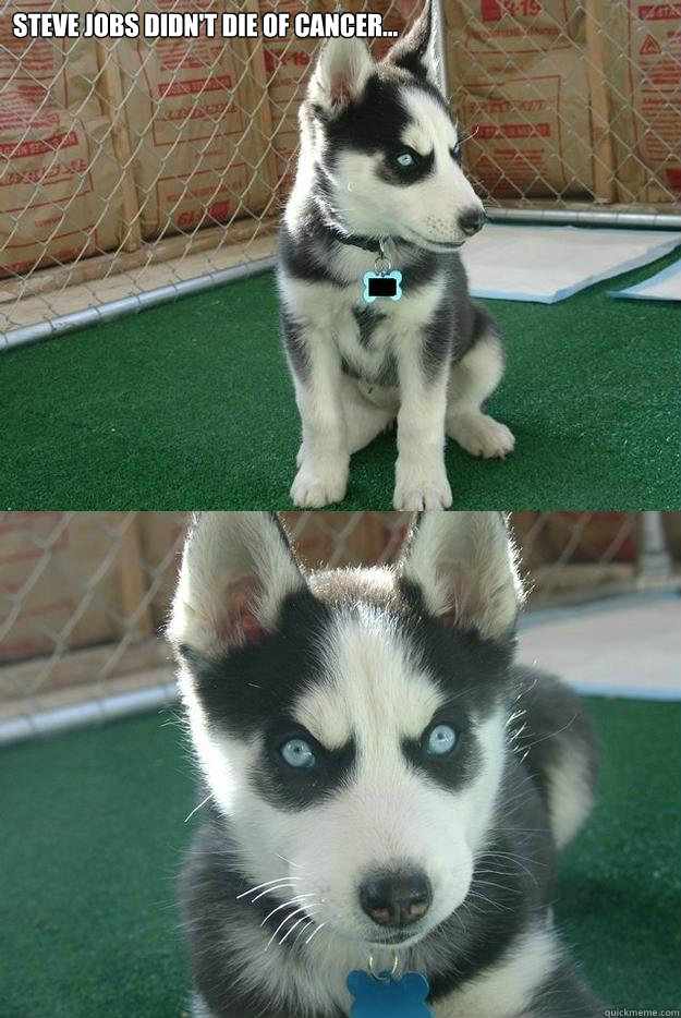 steve jobs didn't die of cancer...   Insanity puppy