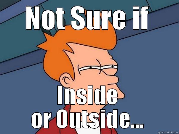 NOT SURE IF INSIDE OR OUTSIDE... Futurama Fry