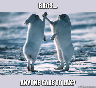 Bros.... anyone care to lax?  Bunny Bros