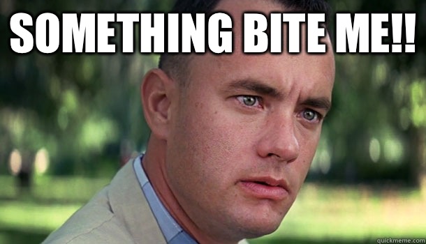 Something bite me!!  - Something bite me!!   Offensive Forrest Gump