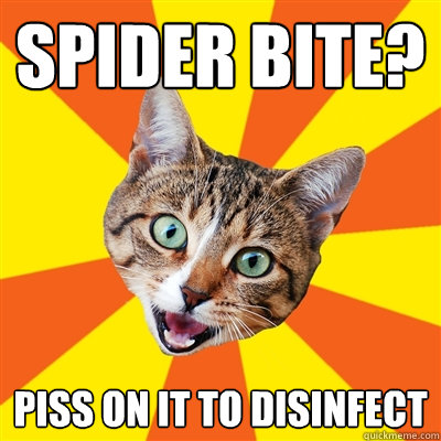 Spider bite? Piss on it to disinfect  Bad Advice Cat