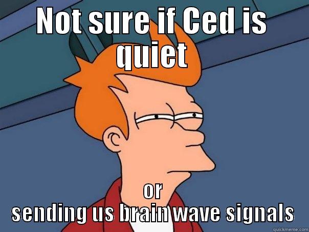the brain - NOT SURE IF CED IS QUIET OR SENDING US BRAIN WAVE SIGNALS Futurama Fry