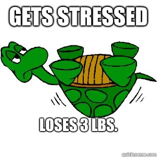 gets stressed loses 3 lbs. 
  Gastroparesis Turtle