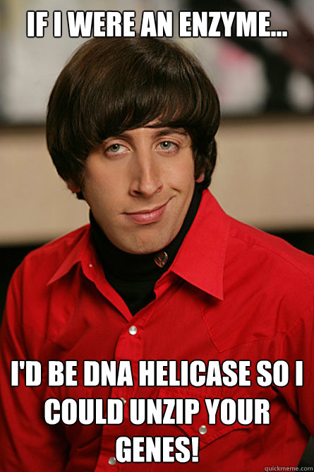If I were an enzyme... I'd be DNA Helicase so I could unzip your genes!  Pickup Line Scientist