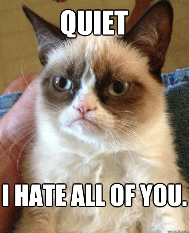 quiet I hate all of you. - quiet I hate all of you.  Grumpy Cat