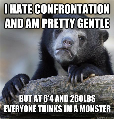 i hate confrontation and am pretty gentle but at 6'4 and 260lbs everyone thinks im a monster - i hate confrontation and am pretty gentle but at 6'4 and 260lbs everyone thinks im a monster  Confession Bear