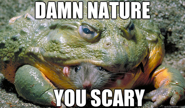 Damn Nature You Scary - Damn Nature You Scary  Misc