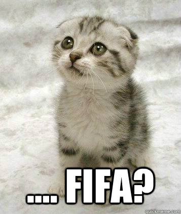  .... FIFA? -  .... FIFA?  Sad cat