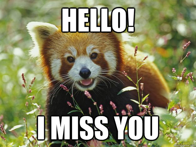 Hello! I miss you - Hello! I miss you  Curious Red Panda