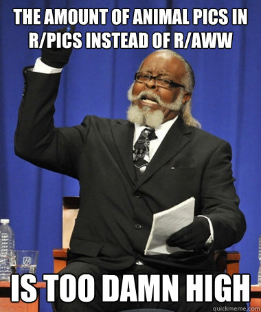 the amount of animal pics in r/pics instead of r/aww is too damn high  The Rent Is Too Damn High