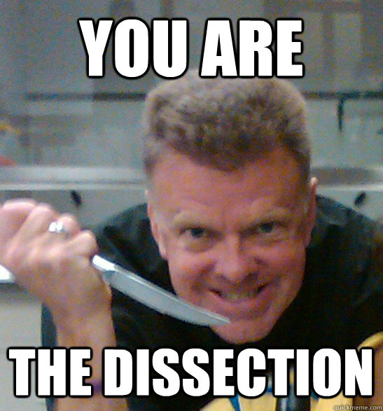 You are the dissection Steggs quickmeme