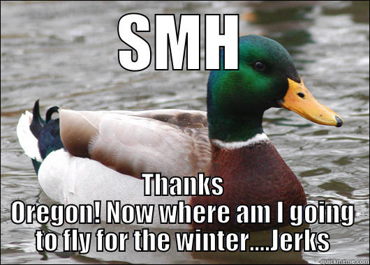 SMH THANKS OREGON! NOW WHERE AM I GOING TO FLY FOR THE WINTER....JERKS Actual Advice Mallard