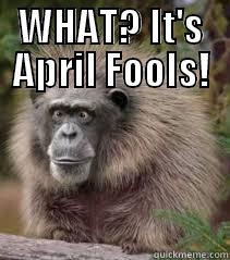 WHAT? IT'S APRIL FOOLS!  Misc
