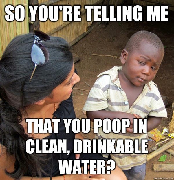 So you're telling me that you poop in clean, drinkable water?  