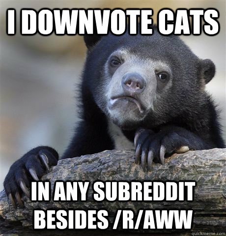 I downvote cats in any subreddit besides /r/aww  Confession Bear