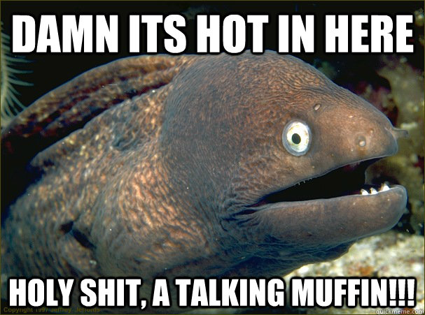damn its hot in here holy shit, a talking muffin!!! - damn its hot in here holy shit, a talking muffin!!!  Bad Joke Eel