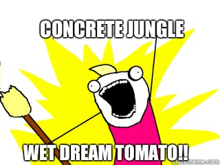 Concrete jungle Wet dream tomato!! - Concrete jungle Wet dream tomato!!  All The Things