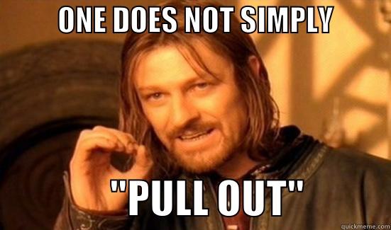           ONE DOES NOT SIMPLY                          