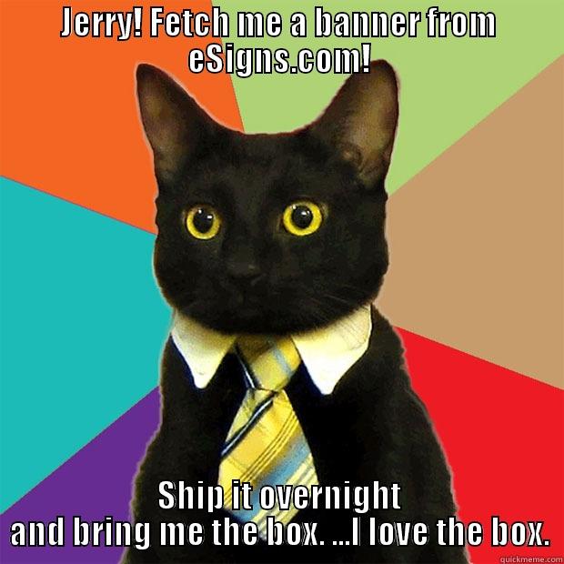 JERRY! FETCH ME A BANNER FROM ESIGNS.COM! SHIP IT OVERNIGHT AND BRING ME THE BOX. ...I LOVE THE BOX. Business Cat