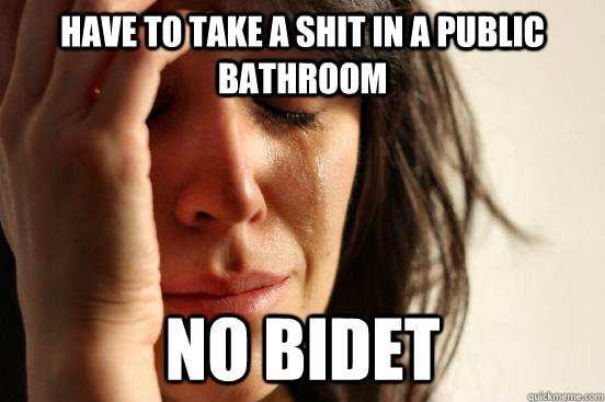 Have to take a shit in a public bathroom no bidet  First World Problems