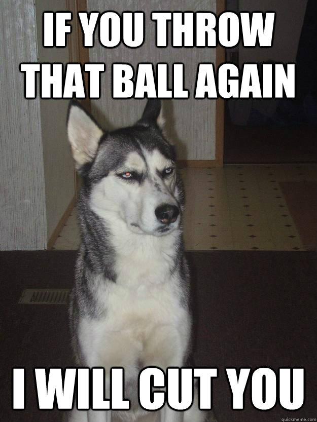 If you throw that ball again I will cut you - If you throw that ball again I will cut you  Mrowmrow